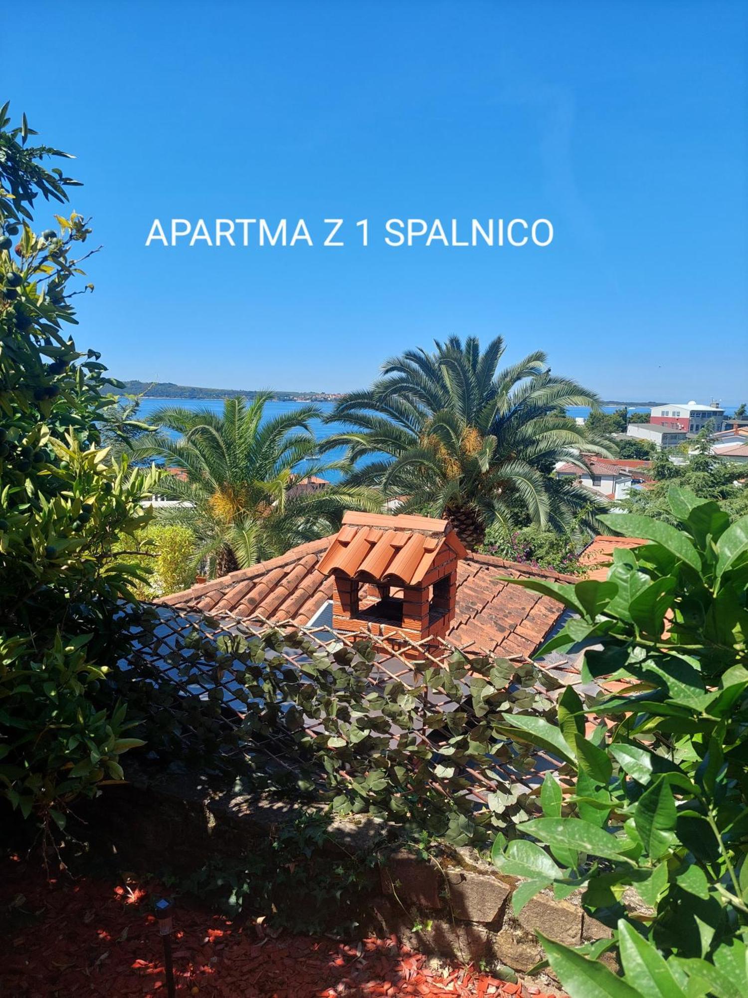 Apartma Ursa Порторож Экстерьер фото